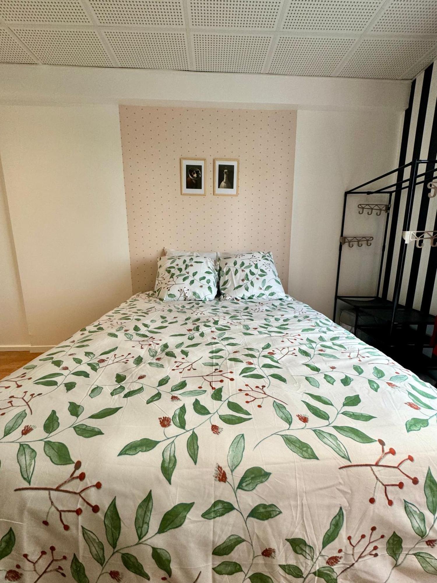 Appartement Lumineux Et Renove Pres De Montmartre "Amelie" Parijs Buitenkant foto